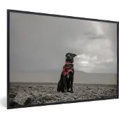 PosterMonkey Fotolijst incl. Poster - Hond - Strand - Wolk - 120x80 cm - Posterlijst
