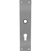 Intersteel renovatieschild rechthoekig 250x55x2mm profielcilindergat 55mm - RVS