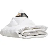 Ten Cate Dekbed - Zomerdekbed - 90% Eendendons - Dekbed 240x200 cm