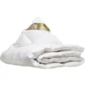 Ten Cate Dekbed - 100% Ganzendonzen Zomerdekbed 260x220 cm
