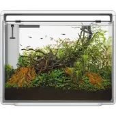 Superfish home 85 aquarium wit