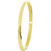 Lucardi Stalen armband bangle goldplated 5mm