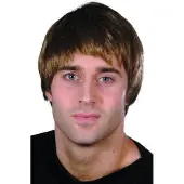 Smiffys Guy Wig