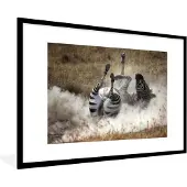 PosterMonkey Fotolijst incl. Poster - Rollende zebra - 90x60 cm - Posterlijst