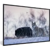 PosterMonkey Fotolijst incl. Poster - Wolven - Sneeuw - Bos - 60x40 cm - Posterlijst