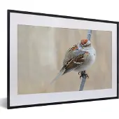 PosterMonkey Fotolijst incl. Poster - Dikke vogel op een tak - 60x40 cm - Posterlijst