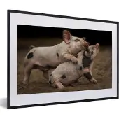 PosterMonkey Fotolijst incl. Poster - Biggen - Spelen - Varkens - 60x40 cm - Posterlijst