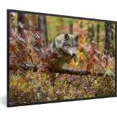 PosterMonkey Fotolijst incl. Poster - Wolf - Tak - Bos - 60x40 cm - Posterlijst