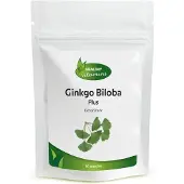 Healthy Vitamins Ginkgo Biloba Plus