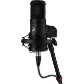 Warm Audio WA-8000 Condenser Microphone