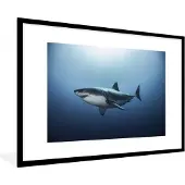 PosterMonkey Fotolijst incl. Poster - Zijaanzicht grote witte haai - 90x60 cm - Posterlijst