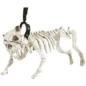 Finidi Hondenskelet aan een riem voor Halloween
