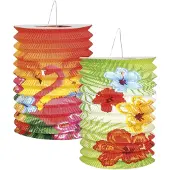Boland lampionnen Hibiscus 16 cm 2 stuks