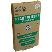Super Ninja Rouwvliegjes Val