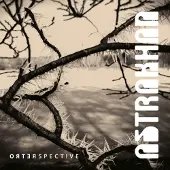 Suburban Retrospective
