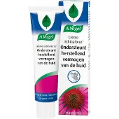 A Vogel A.Vogel Echinaforce herstellende creme 30 gram