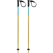 Völkl Phantastick Junior Stokken