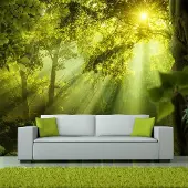 Karo-art 343cm X 245cm - Zelfklevend fotobehang - Geheimzinnig bos , Premium Print