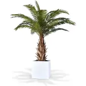 Maxifleur Kunstplanten Phoenix Canarie kunstpalm XXL op voet 300cm