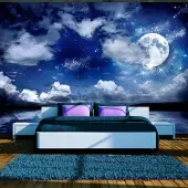 Karo-art 343cm X 245cm - Zelfklevend fotobehang - Magische nacht , Premium Print