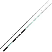Abu Garcia Beast X Pike - 902 XH - Spinhengel - 60-120g
