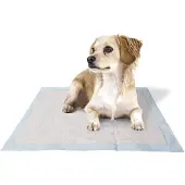 Ferplast Genico Basic Luiers 60x60 Cm 50 Eenheden