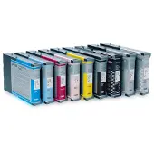 Epson ink cartridge grey T 543 110 ml T 5437