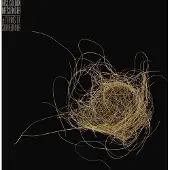 Konkurrent Hiss Golden Messenger - Terms Of Surrender (LP)