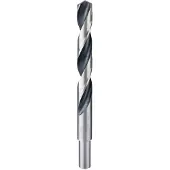 Bosch Accesorios Hss-rpointteq Din338 15.0x114x169 Mm Metaalboor