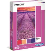 Clementoni 39493, 12 rokken