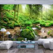 Karo-art 343cm X 245cm - Zelfklevend fotobehang - Vochtig bos in de ochtend , Premium Print