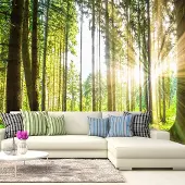 Karo-art 294cm X 210cm - Zelfklevend fotobehang - Verhalen uit een bos , Premium Print