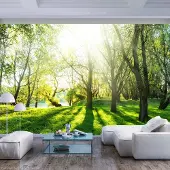 Karo-art 245cm X 175cm - Zelfklevend fotobehang - Zonnige dag in een bos , Premium Print