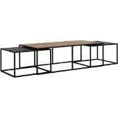 DTP Home Cosmo salontafel teakhout - set van 3