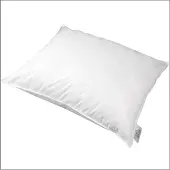 Polydaun First Label Comfort Hoofdkussen 60x60