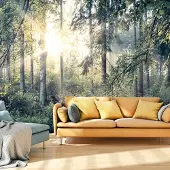 Karo-art 441cm X 315cm - Zelfklevend fotobehang - Verhalen van een bos , Premium Print