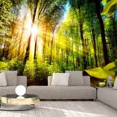 Karo-art 343cm X 245cm - Zelfklevend fotobehang - Verstop plek in het bos , Premium Print