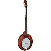 Gold tone EB-5 elektrische banjo, met draagtas