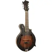 Gold tone F-6 elektrische mando-guitar, met koffer
