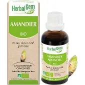 Herbalgem Amandel Bio | 30 ml
