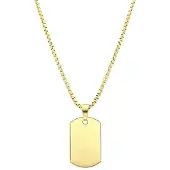 Lucardi Heren Ketting met hanger plaat mat - Staal - Ketting - Vaderdag Cadeautje - 65 cm - Goudkleurig