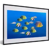 PosterMonkey Fotolijst incl. Poster - Vis - Tropisch - Groep - 60x40 cm - Posterlijst