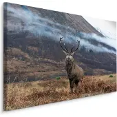 Karo-art Schilderij - Hert in de Bergen, premium Print