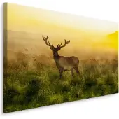 Karo-art Schilderij - Hert in de Mist, Premium Print