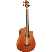 Gold tone M-BASS25/FL fretloze Microbass met gigbag