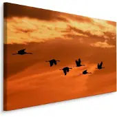Karo-art Schilderij - Kraanvogels bij Zonsondergang, Premium Print