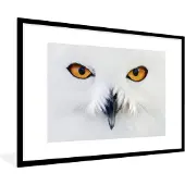 PosterMonkey Fotolijst incl. Poster - Close-up beeld van een sneeuwuil - 120x80 cm - Posterlijst