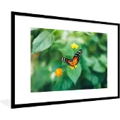 PosterMonkey Fotolijst incl. Poster - Vlinder op bloem - 120x80 cm - Posterlijst