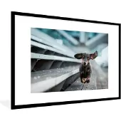PosterMonkey Fotolijst incl. Poster - Hond rennend over tribune - 120x80 cm - Posterlijst