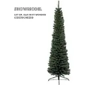 Molecule Everlands 680059 Pencil Pine - 120 cm
